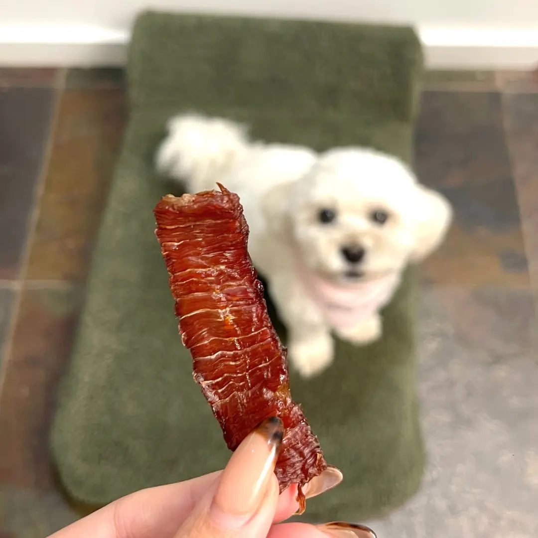 Homemade Beef Jerky Easy Oven Treat Recipe for Dogs - Dog Child