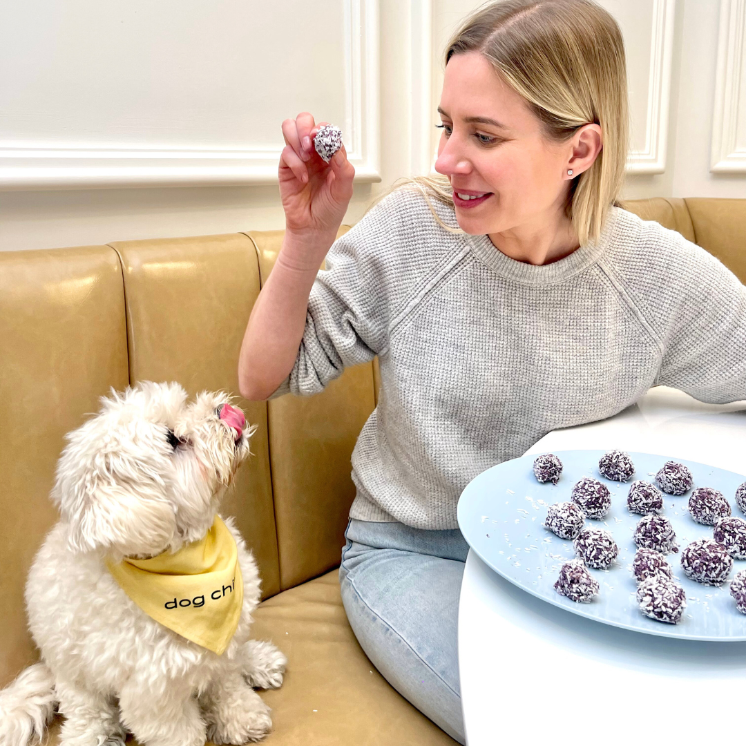 No Bake Blueberry Treat Balls Dog Treats With Blueberries