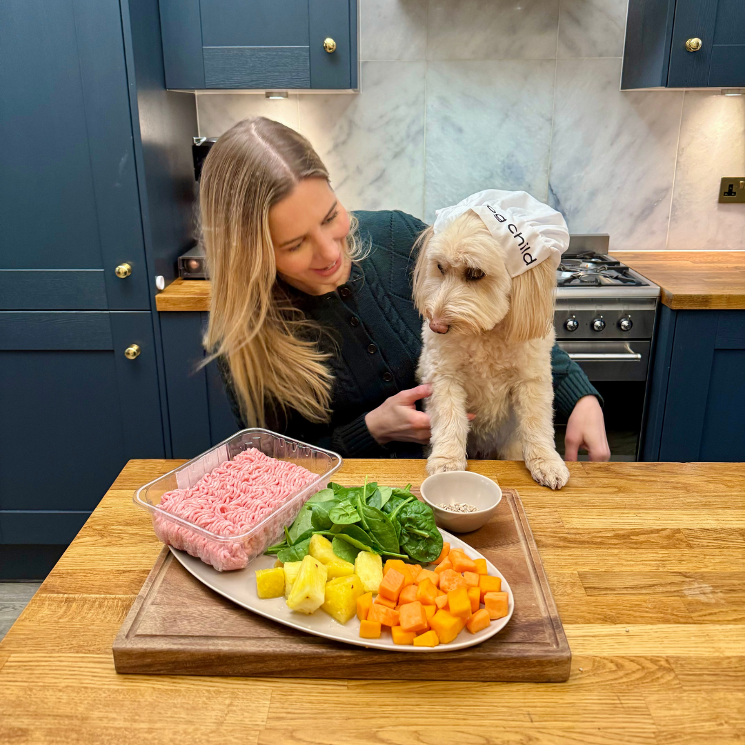 Homemade Balanced Dog Food Pork & Pineapple Meal