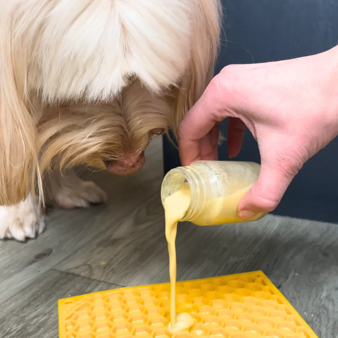 Gut-Boosting-Wellness-Shot-for-Dogs Dog Child