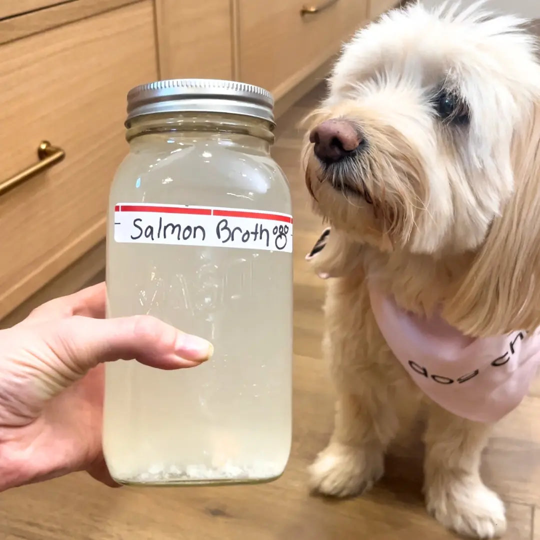 Simple Salmon Omega Broth for Dogs Dog Child