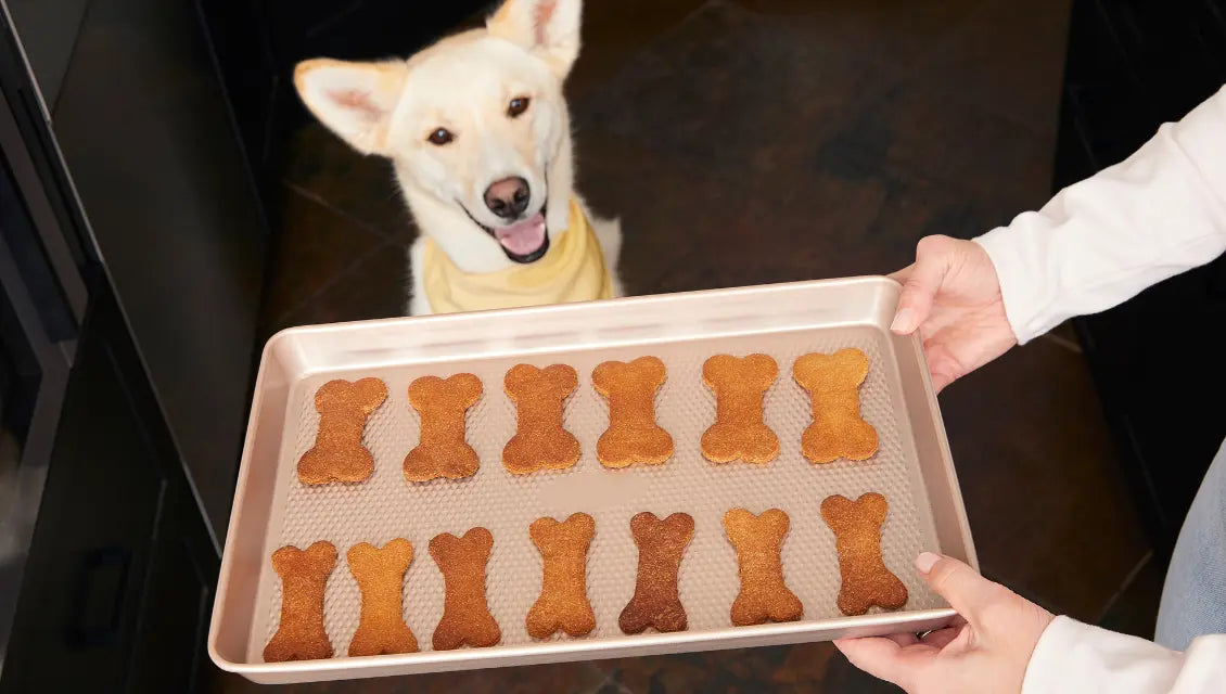 Dog and treats