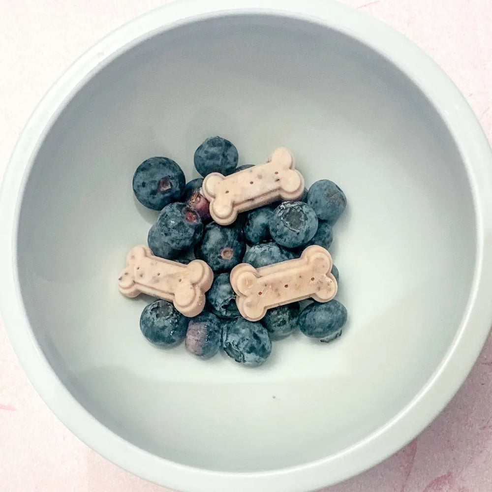 Recipes for Dogs - Dog Child