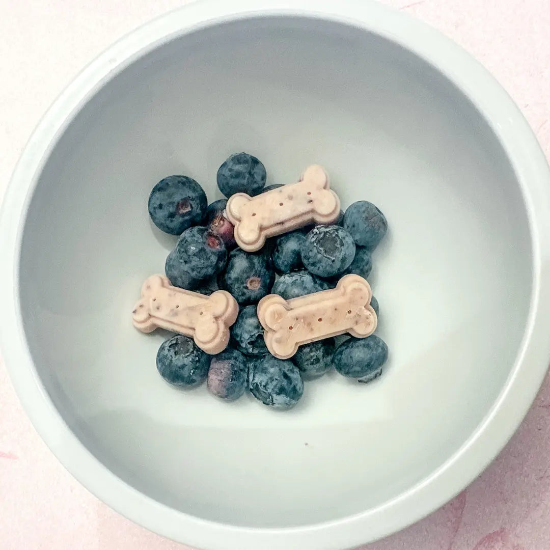 Blueberry & Peanut Butter Frozen Dog Treat Recipe
