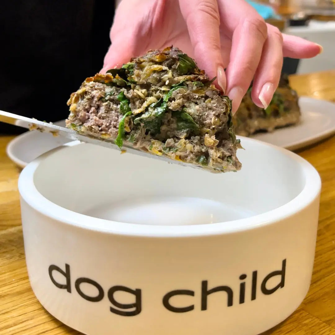 Meat-Loaf-Recipe-for-Dogs Dog Child