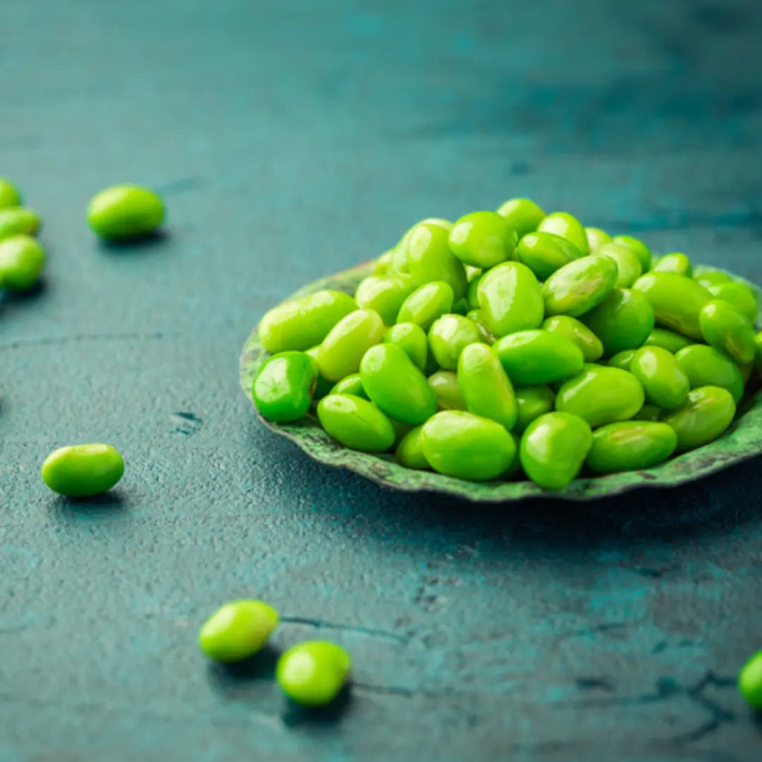 Can Dogs Eat Edamame Beans or Soybeans Dog Child