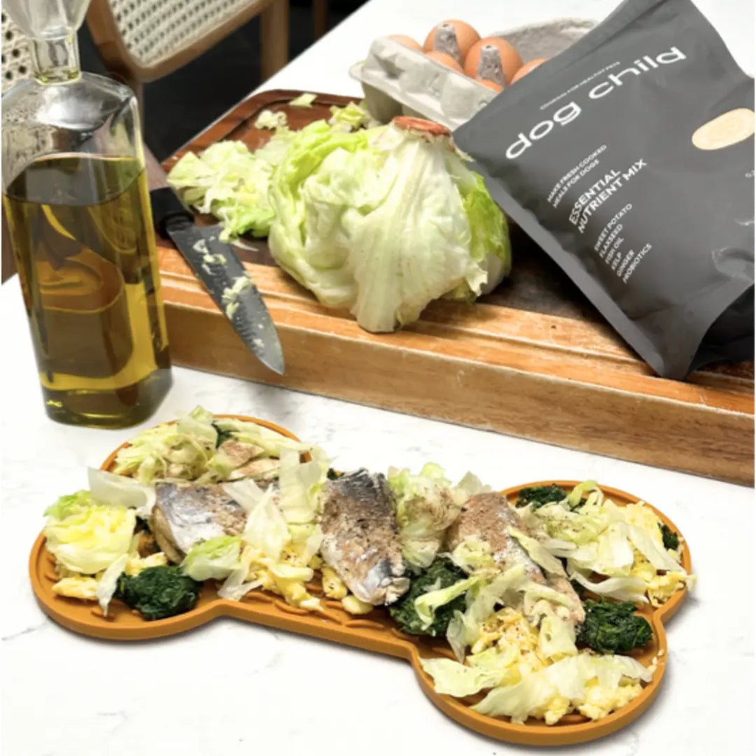 Caesar Salad Lick Mat Recipe for Dogs Dog Child