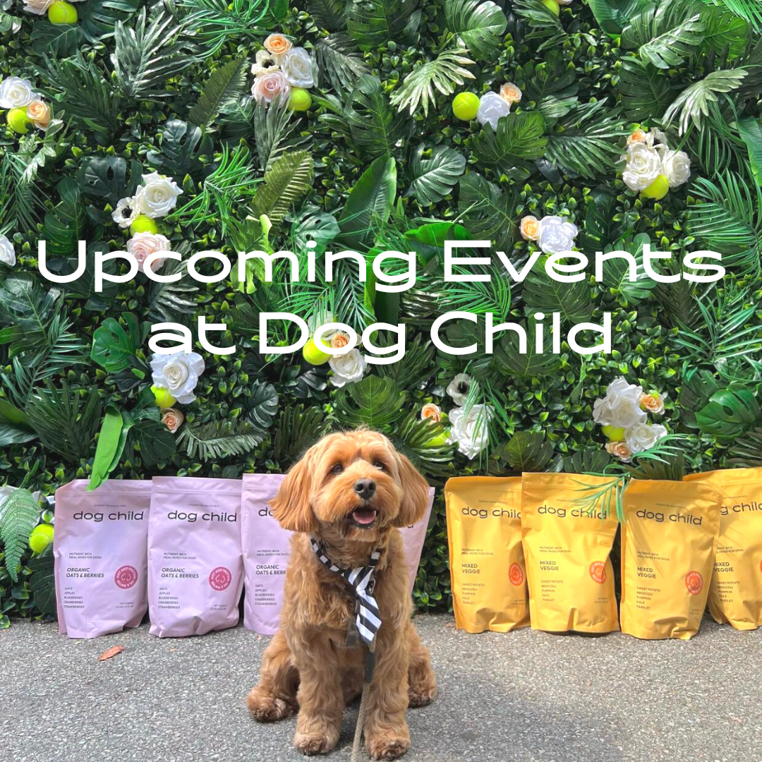 Upcoming Events at Dog Child - Dog Child