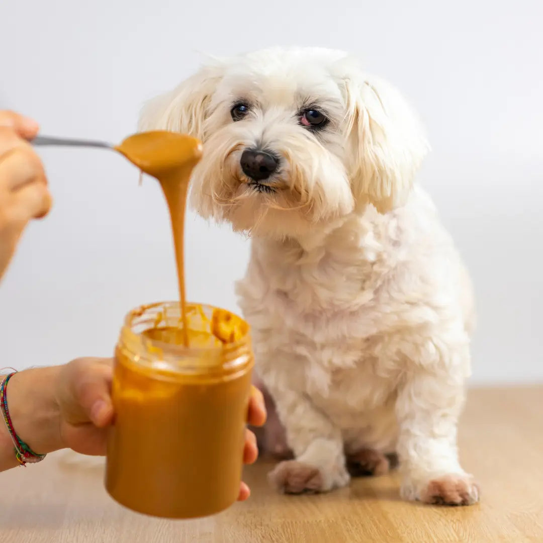 nut butter for dogs