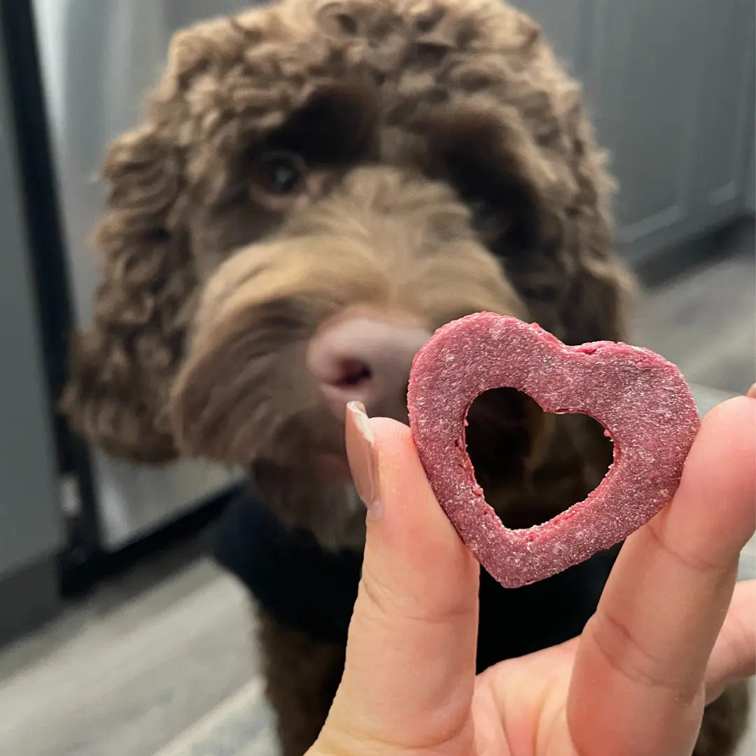 Valentine's Day Beet Cookies for Dogs Dog Child