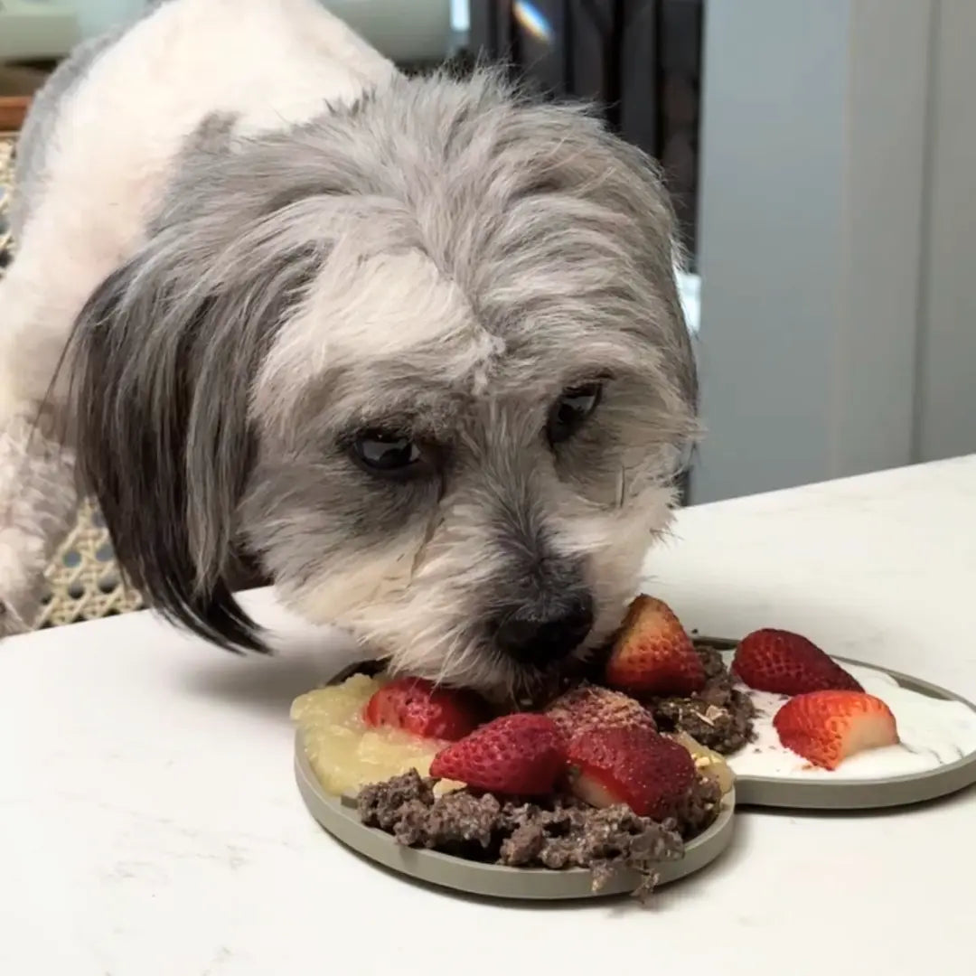 Berries and Cream - Lick Mat Recipes For Dogs | Dog Child - Dog Child