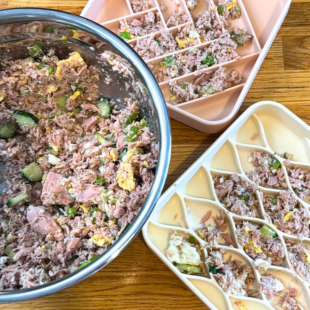 Homemade Tinned Fish Dog Food Recipe Vet Approved
