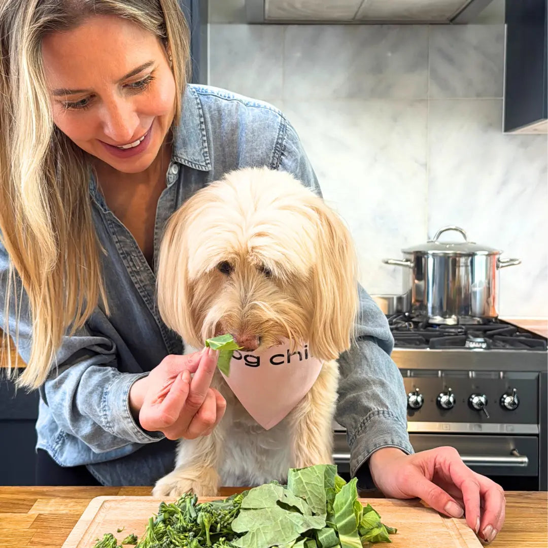 Chicken-Salmon-Homemade-Dog-Food-Easy Dog Child