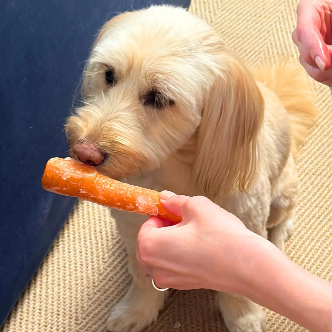Frozen-Carrot-Bone-Broth-Dog-Chews Dog Child
