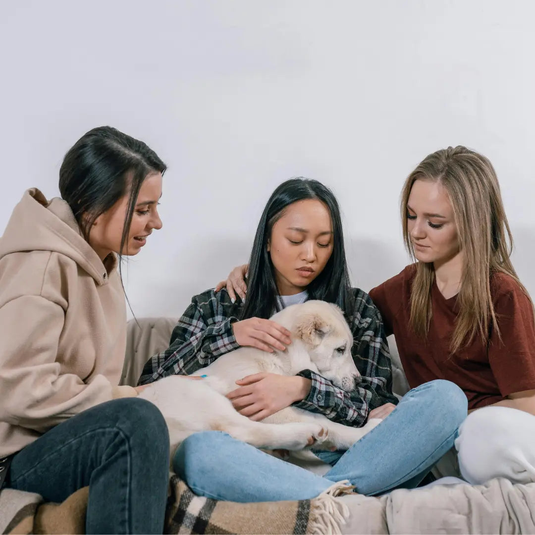 How to Get an Emotional Support Dog Dog Child