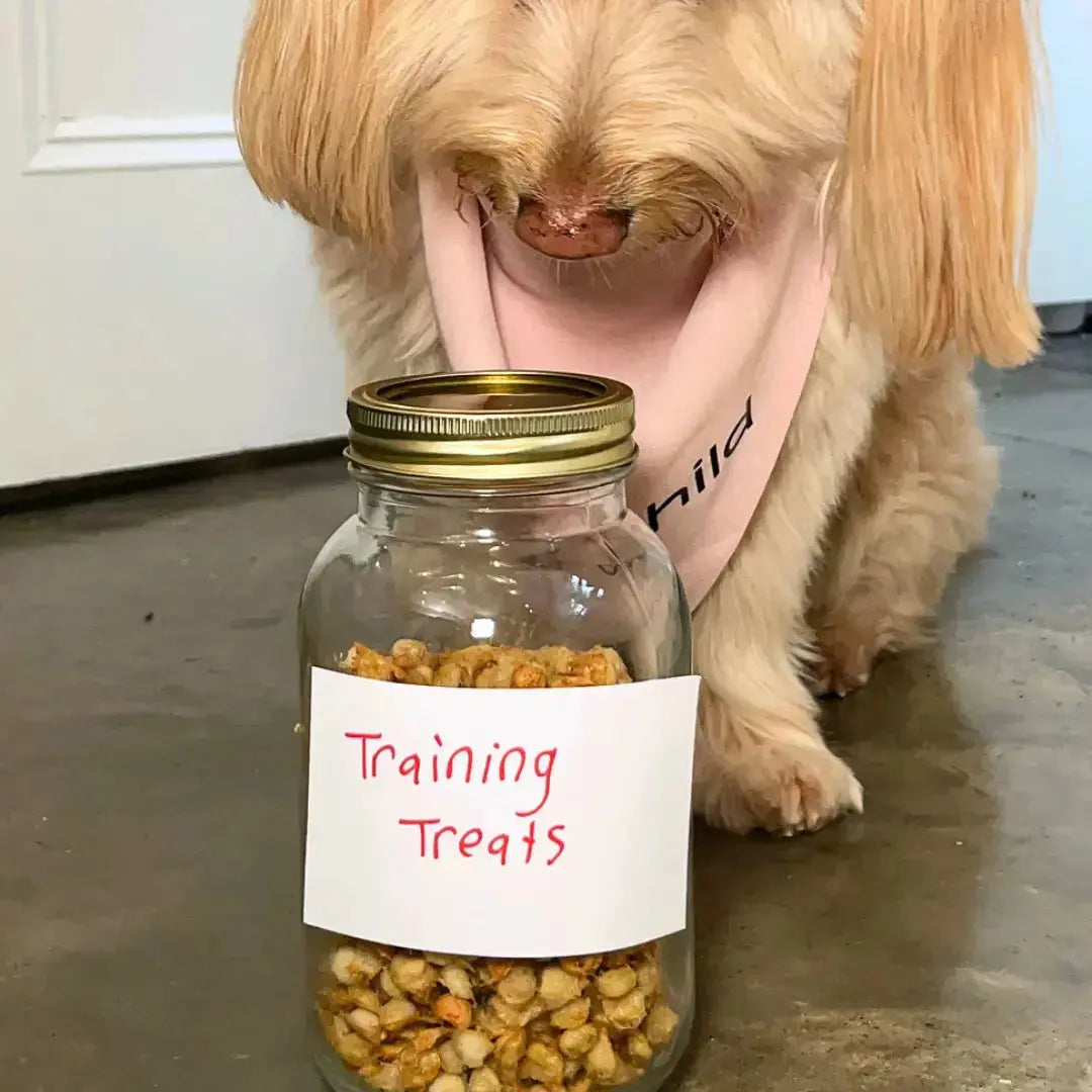 2 Ingredient Dog Treats — 1000 Homemade Chicken & Egg Treats in 15 Minutes Dog Child