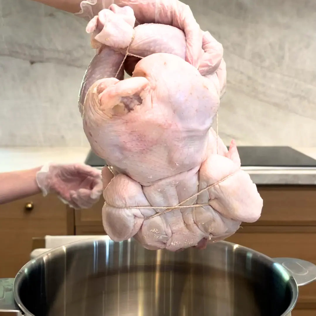 How-to-Cook-a-Whole-Chicken-for-Your-Dog Dog Child