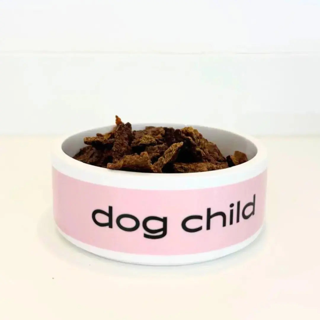Homemade Dog Kibble Dog Child