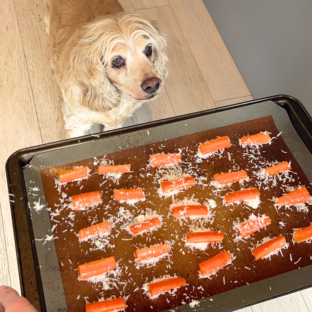 Easy DIY Crispy Carrot Parmesan Dog Treats