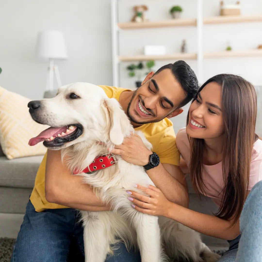 The 10 Best Pet Insurance Companies in Georgia for 2026 Dog Child