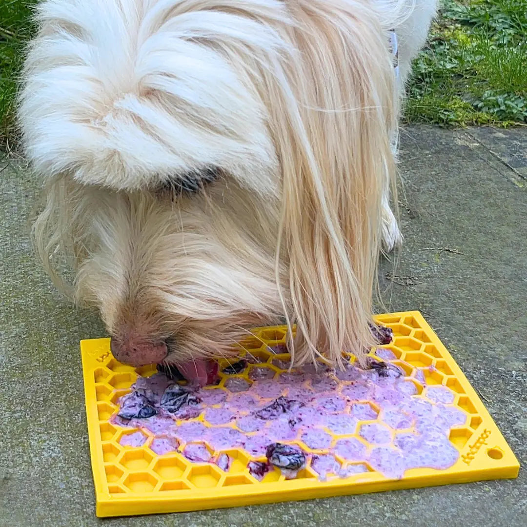 High Fiber Chia Pudding Blueberry Lick Mat for Dogs Dog Child