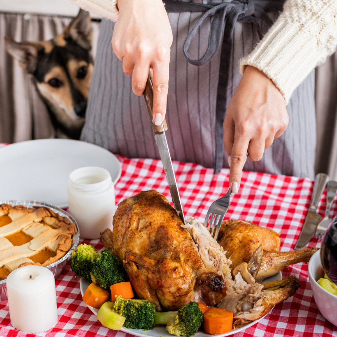 Can Dogs eat the Turkey Giblets? Should Dogs eat Turkey Necks?