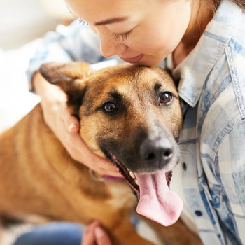 How Can You Help Your Dog Cope with Separation Anxiety? Dog Child