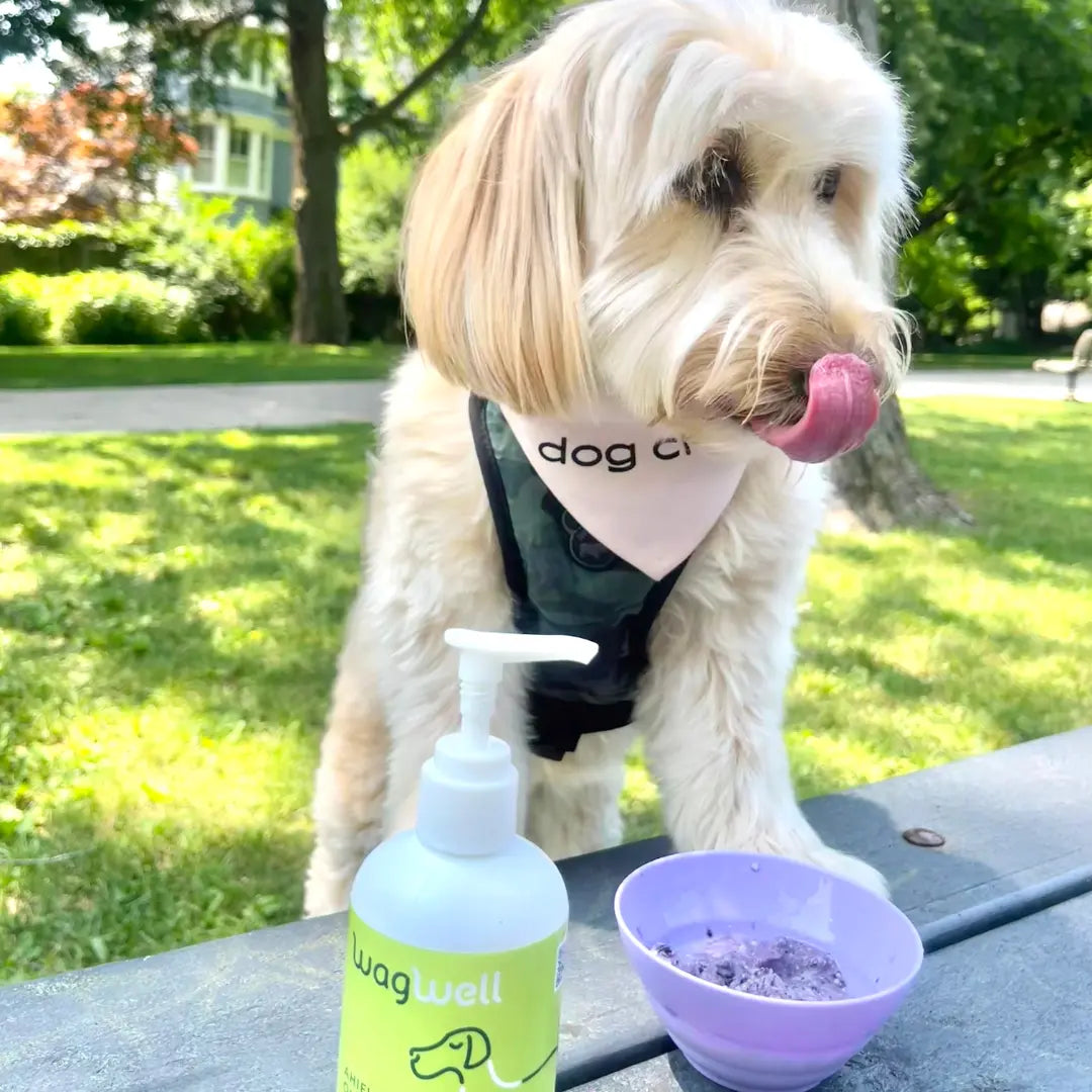 Blueberry-Peanut-Butter-Dog-Ice-Cream Dog Child