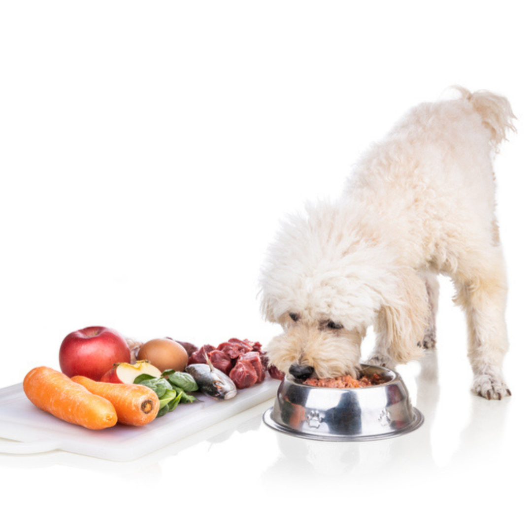 Image result for Essential Tips for Creating Homemade Dog Food for Sensitive Digestion ...