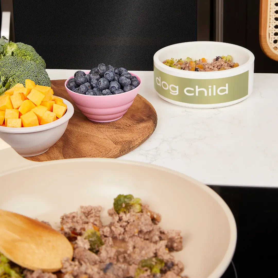 Homemade-Dog-Food-Recipe-Ground-Beef-Broccoli Dog Child