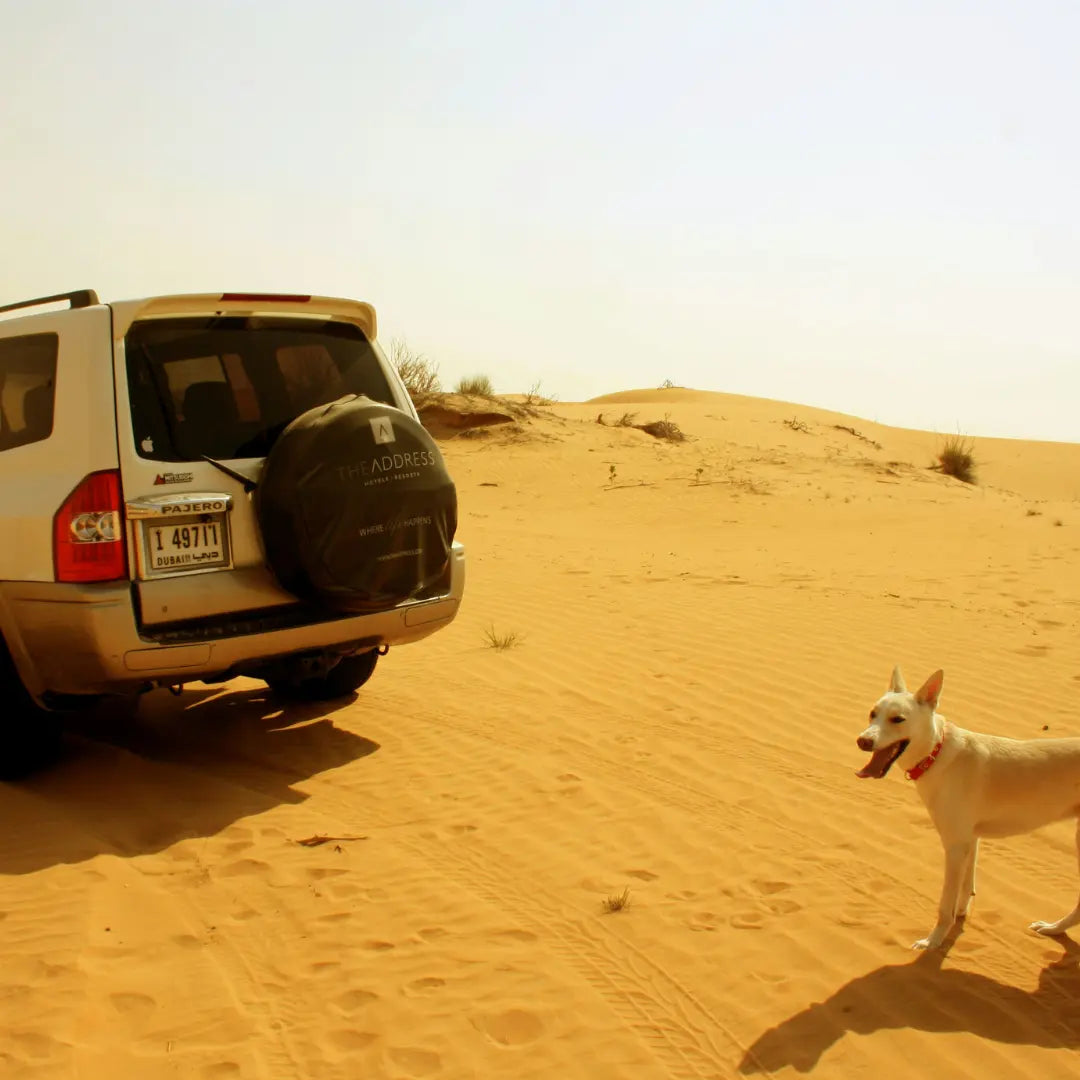 Tips-and-Tricks-to-Keep-Pets-Comfortable-for-Travel-in-the-UAE Dog Child