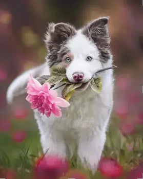 10-Most-Dangerous-Plants-for-Dogs-That-Can-Be-Found-in-Your-Garden Dog Child