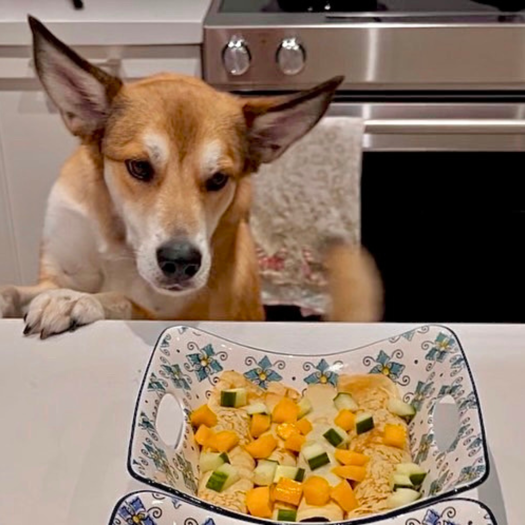Vegetable & Beef Crepe for Dogs - Dog Child