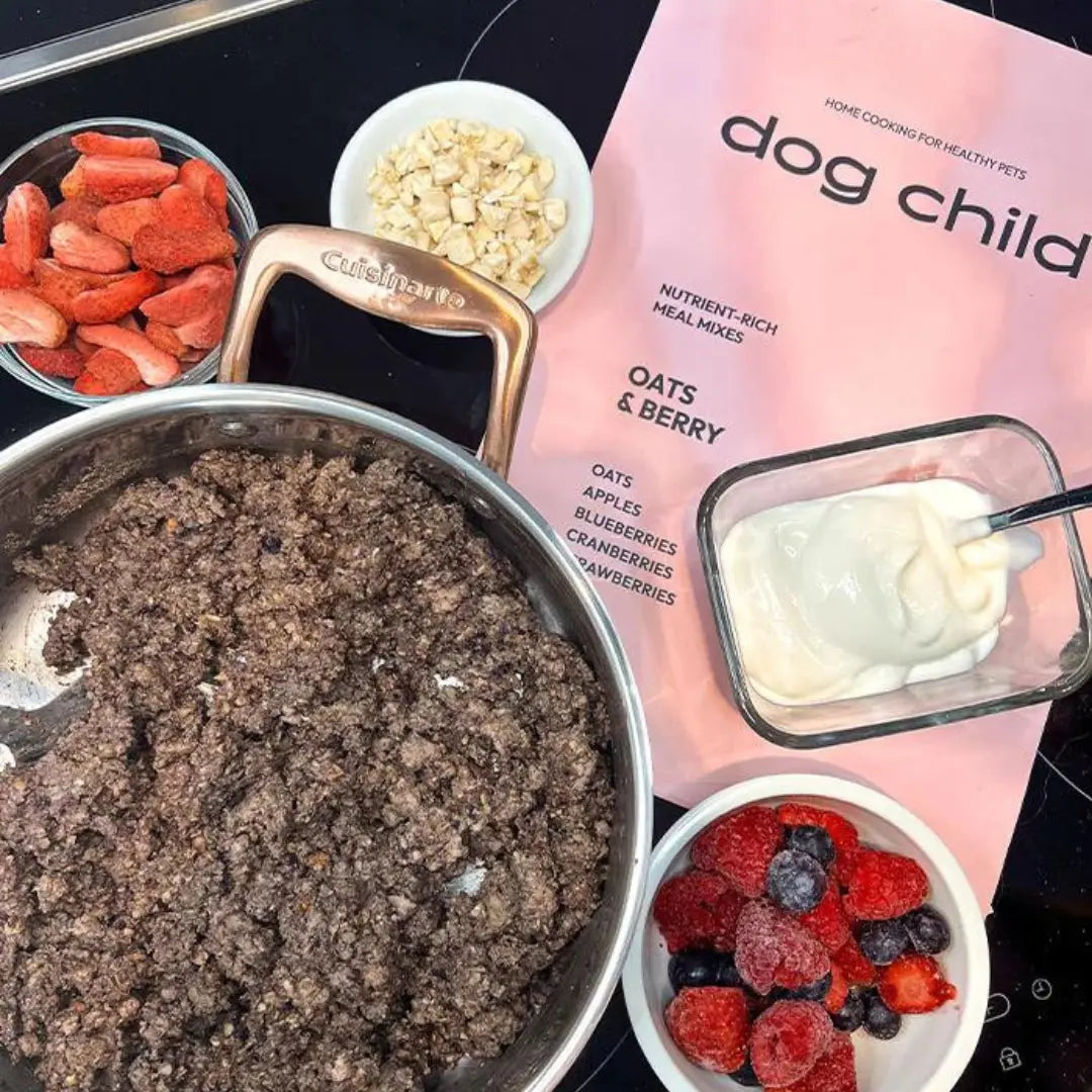 Lamb in a pot with yogurt, berries and dog child meal mix around it