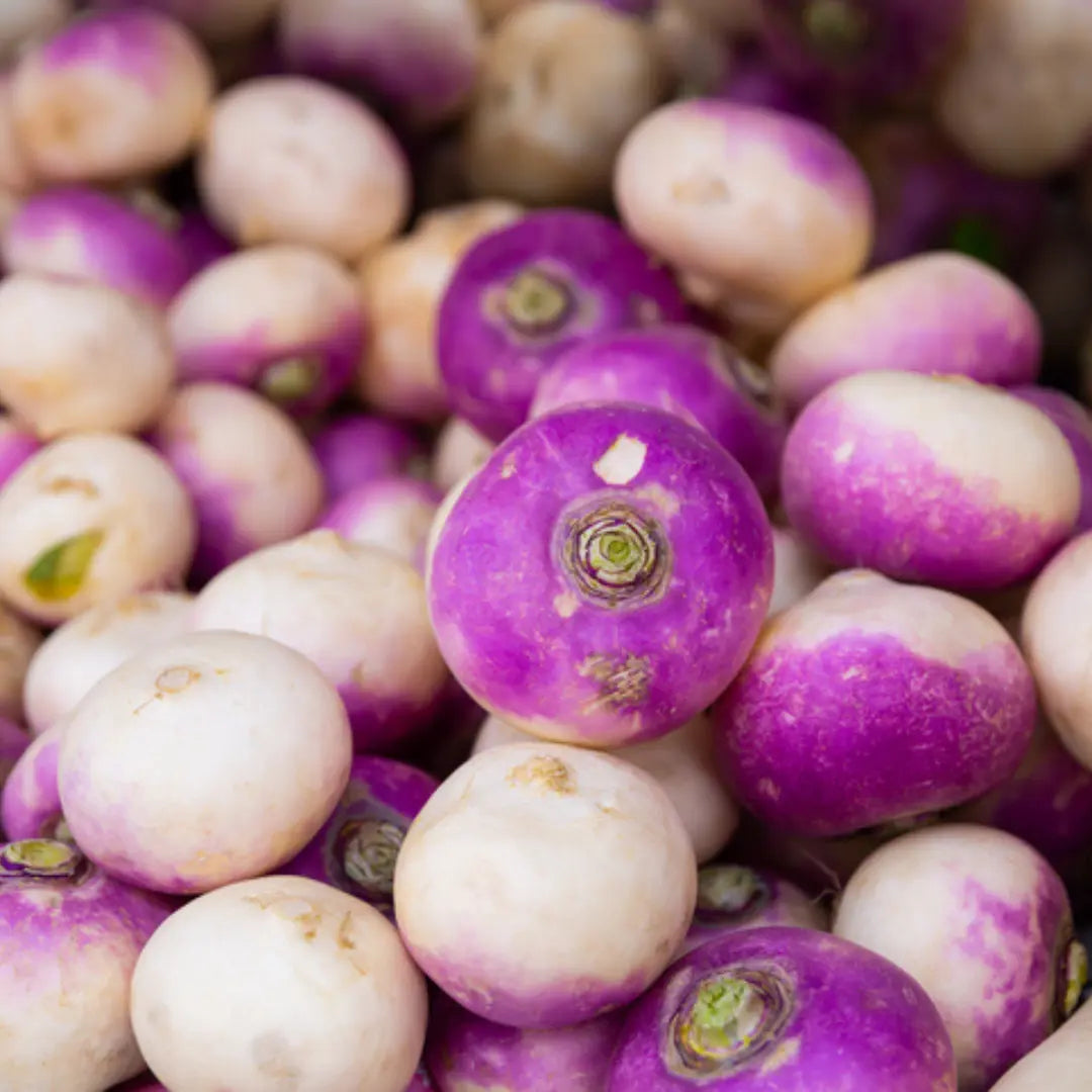 Can Dogs Eat Turnips? A Guide for Dog Parents - Dog Child