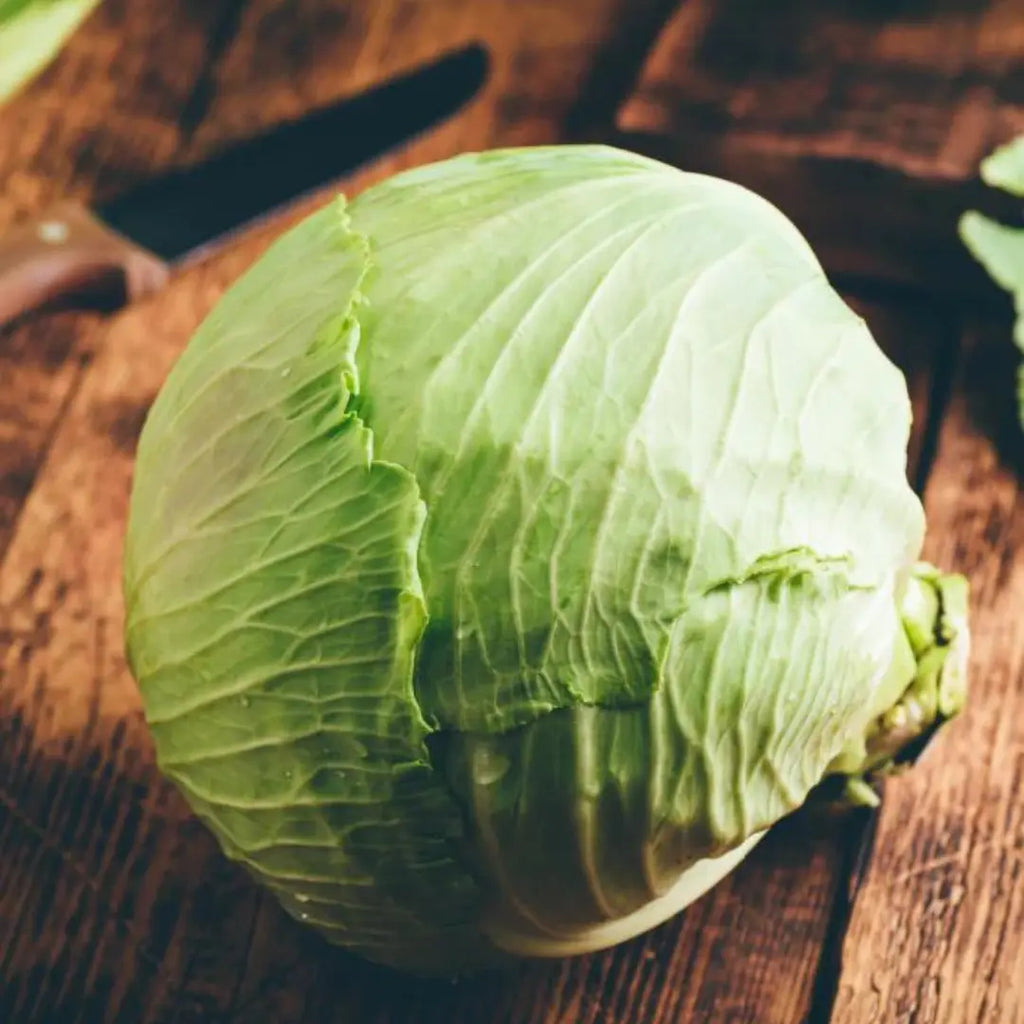 Can dogs shop eat raw cabbage