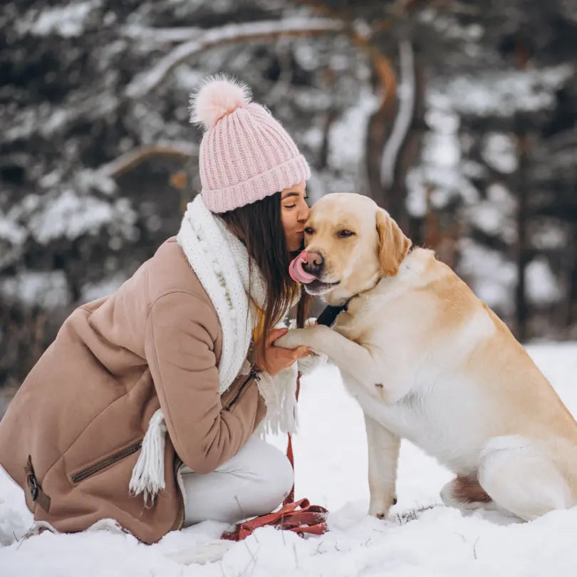 4 Winter Pet Safety Tips to Keep Your Fido Warm, Healthy, and Comfy