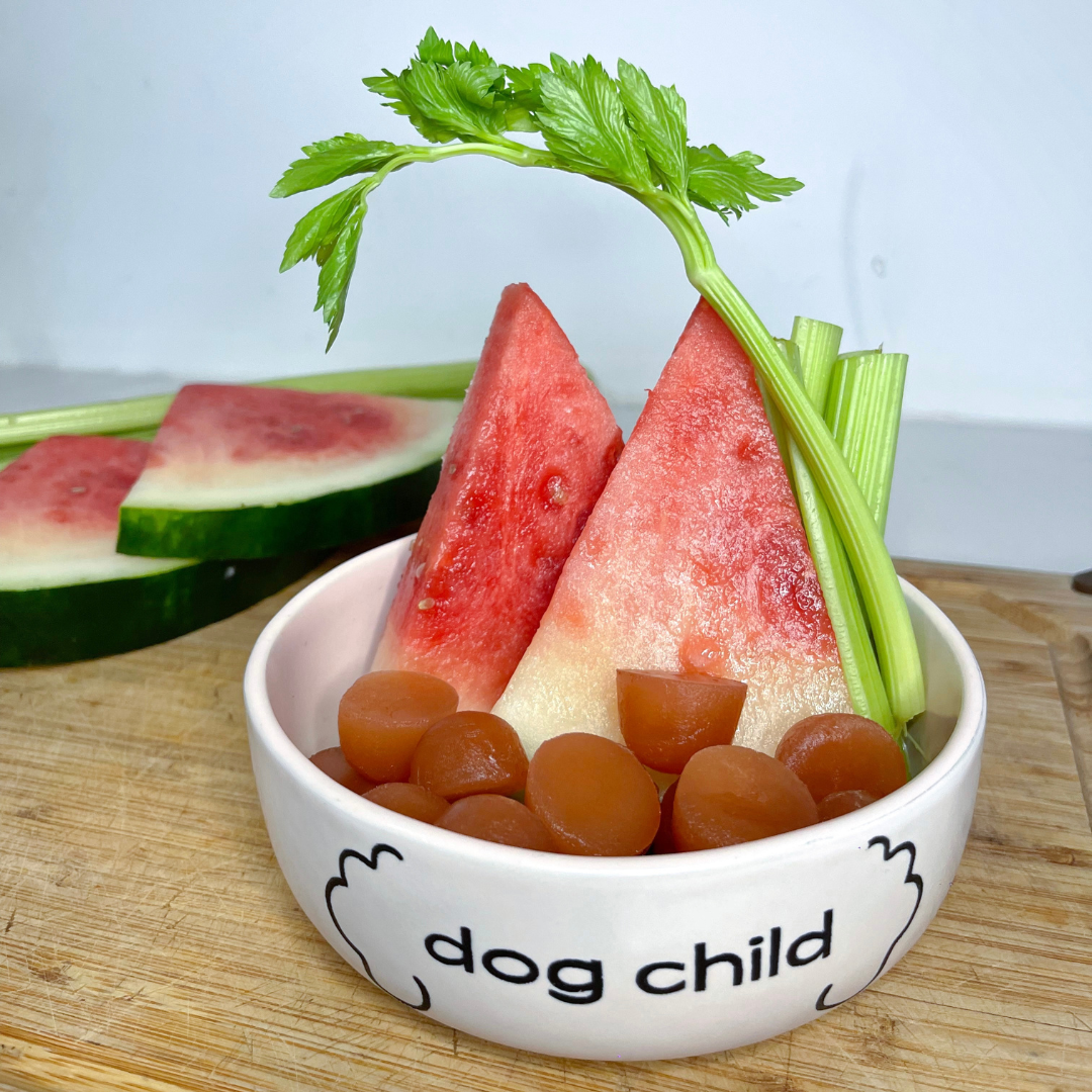 Dog Celery and Watermelon Cubes