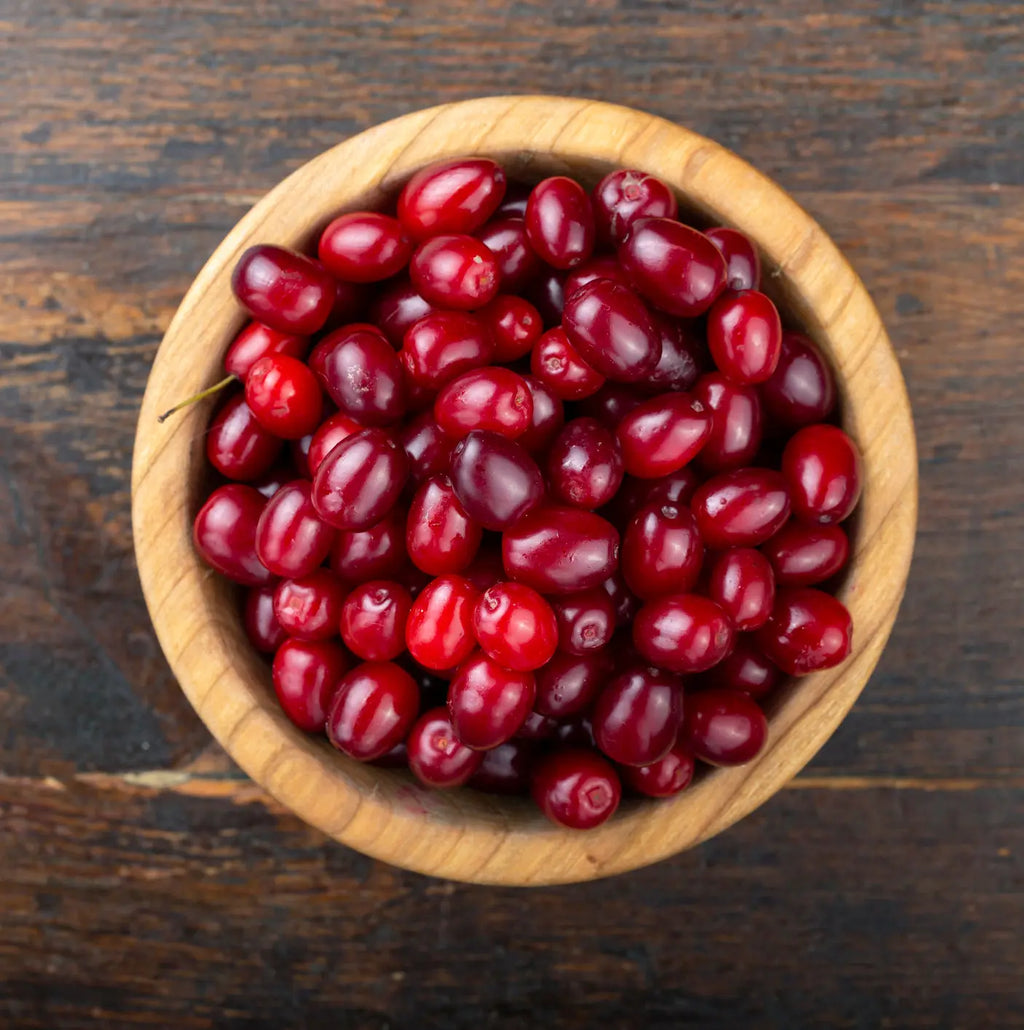 are raw cranberries safe for dogs