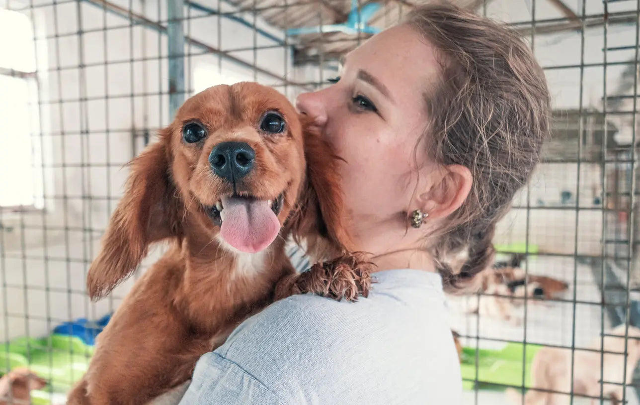 The-Best-Way-for-Students-to-Enjoy-Dogs-Without-the-Commitment Dog Child