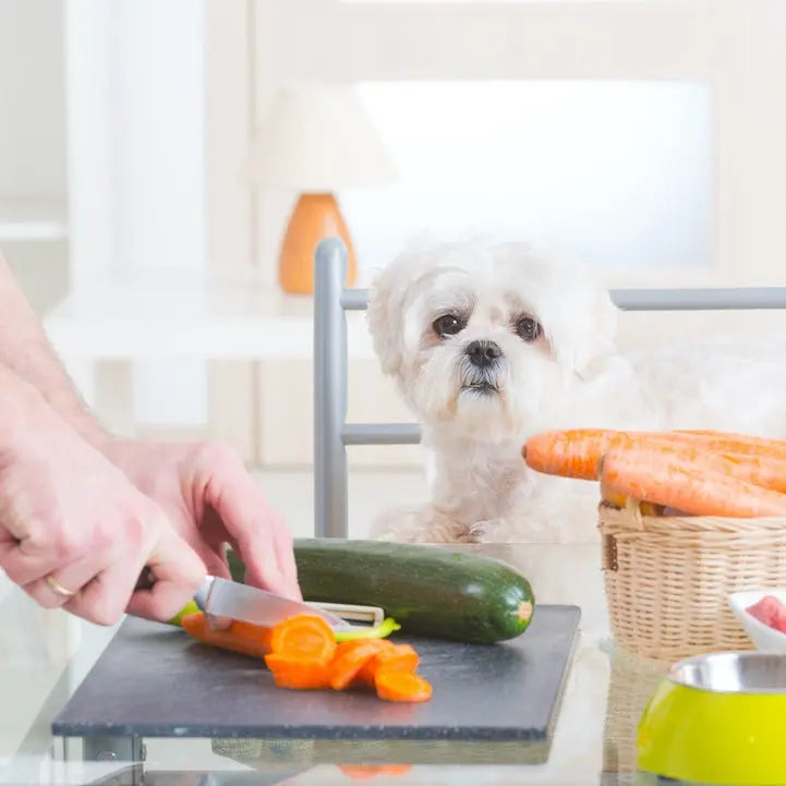 Winter Vegetables for Dogs