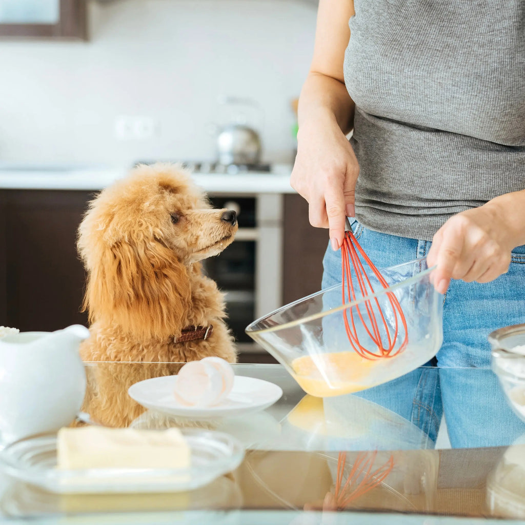 Avoiding the Biggest Mistake When Home Cooking for Dog Child