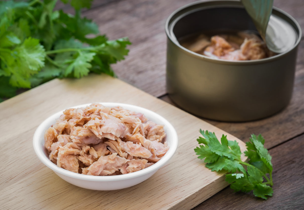 Feeding dog canned mackerel hotsell