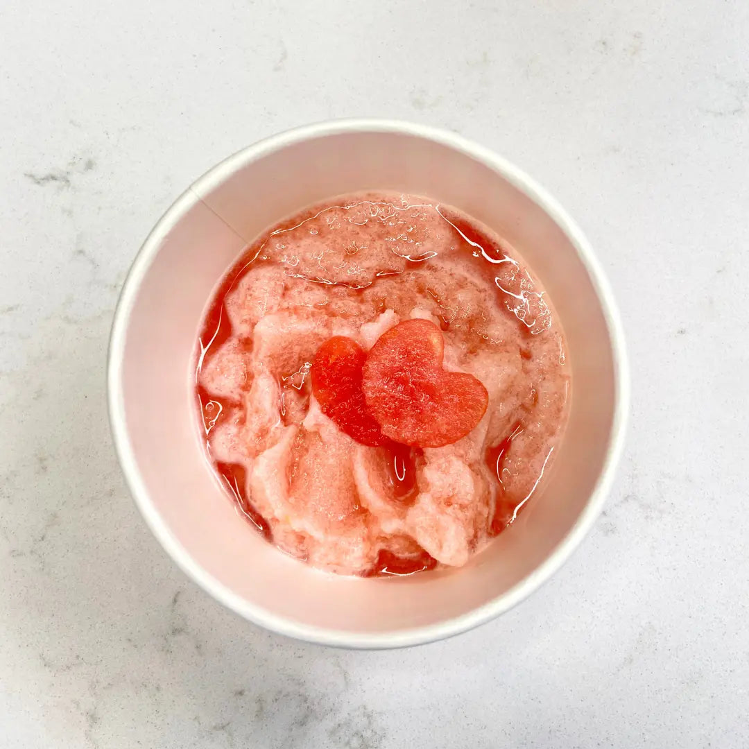 Cool Off with a Doggy Slushy - A Frozen Dog Treat | Dog Child - Dog Child