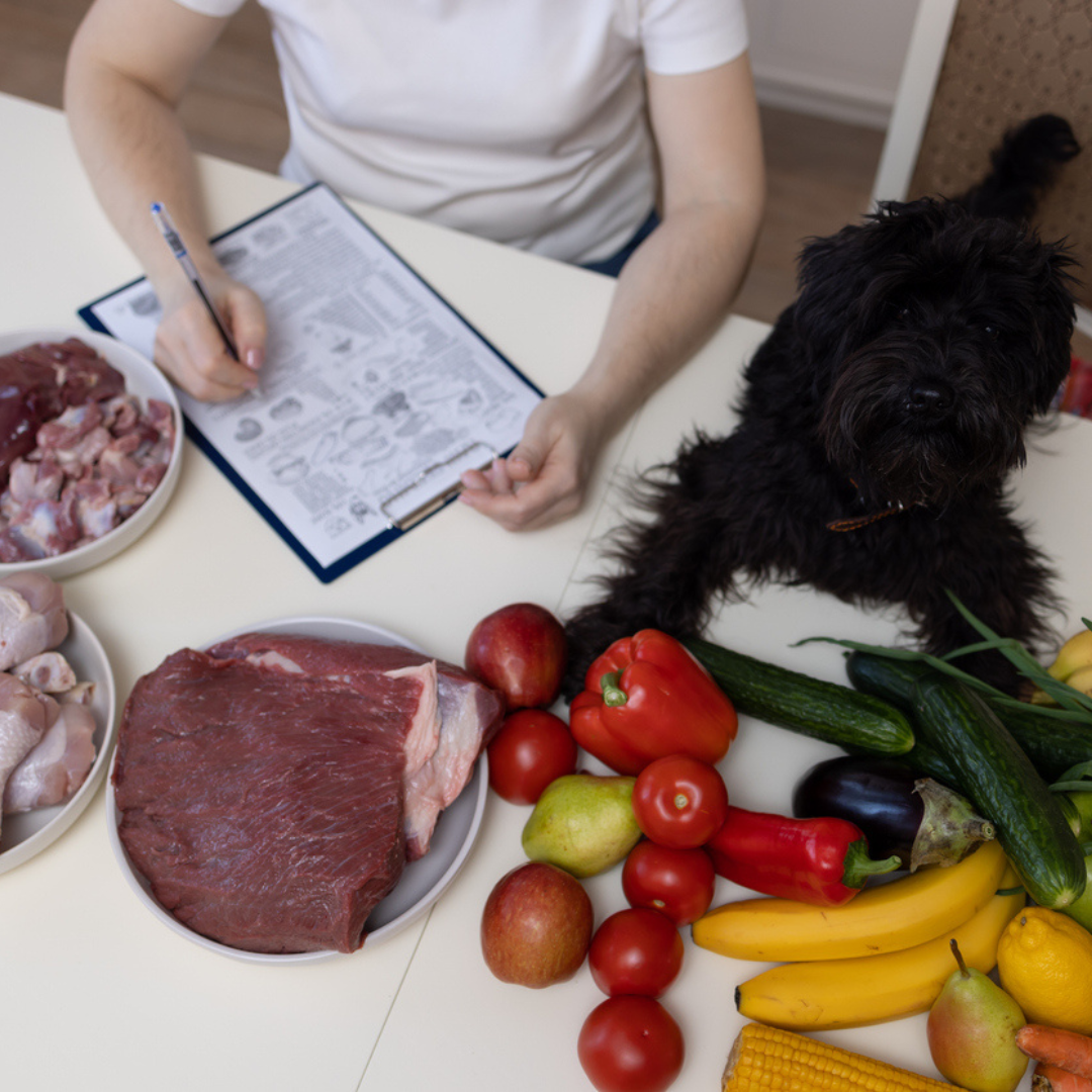 dog with liver