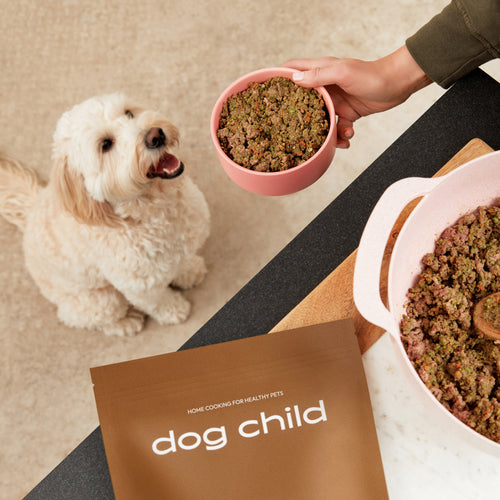 Mixed Veggie Meal Mix For Dogs Dog Child