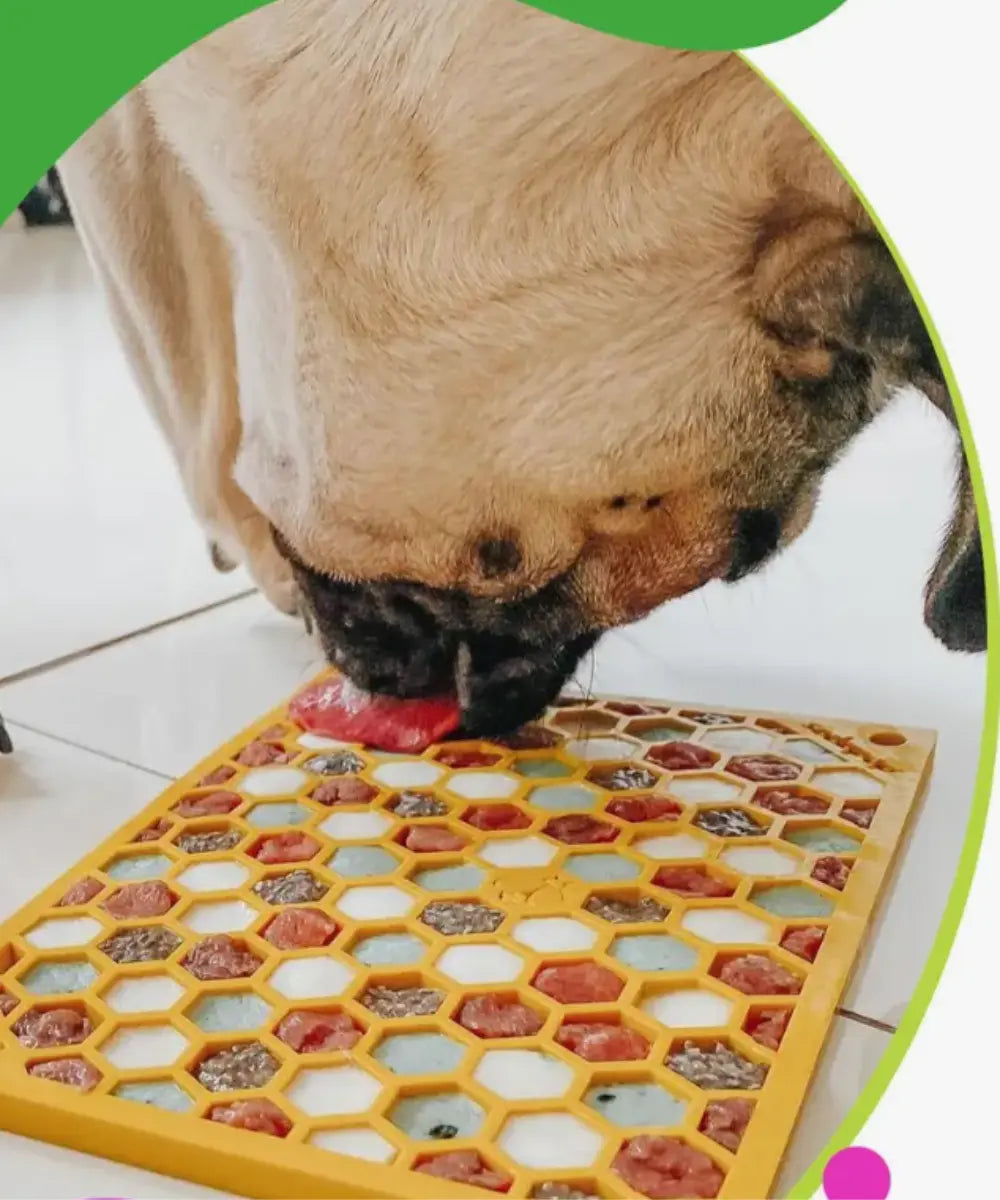 The Benefits of Using Lick Mats for Your Dog
