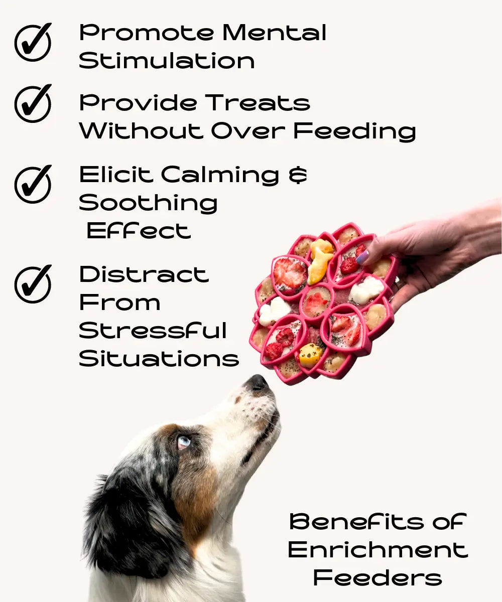 4 Benefits of Dog Enrichment