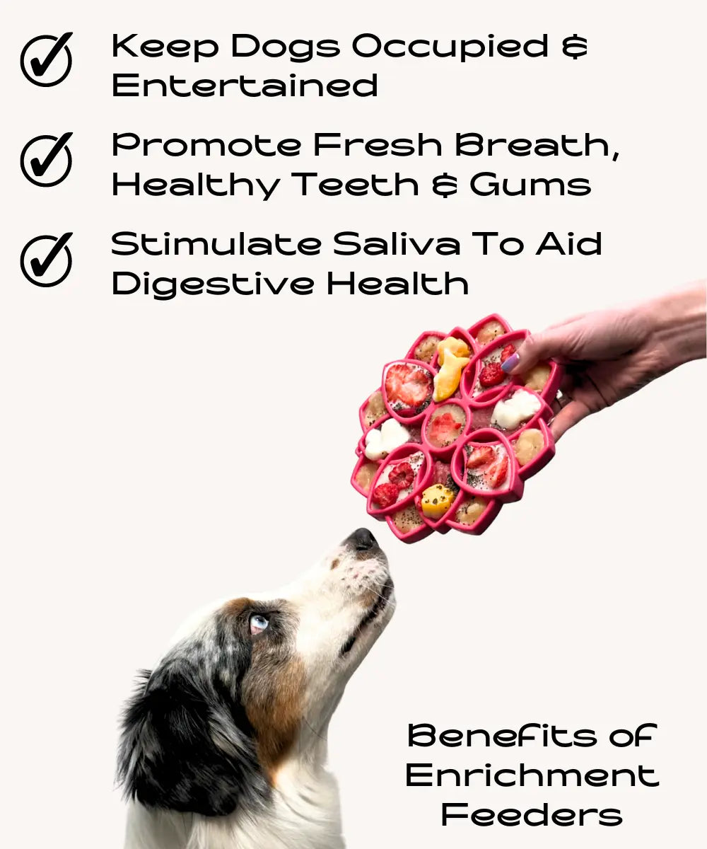 Soda Pup Enrichment Tray for Dogs - Dog Child
