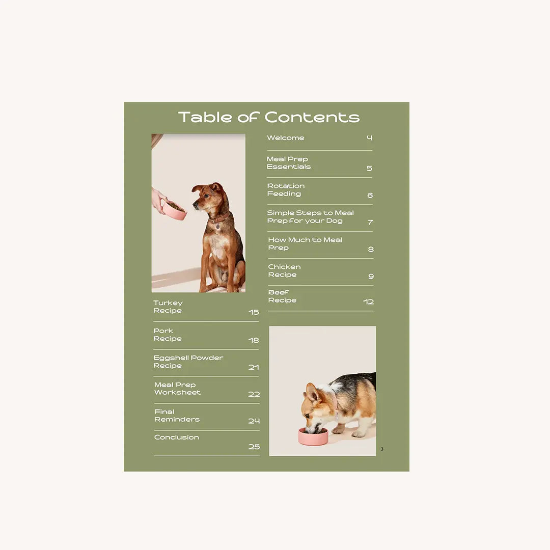 Meal Prep for Dog Parents 8 Easy Homemade Recipes Dog Child
